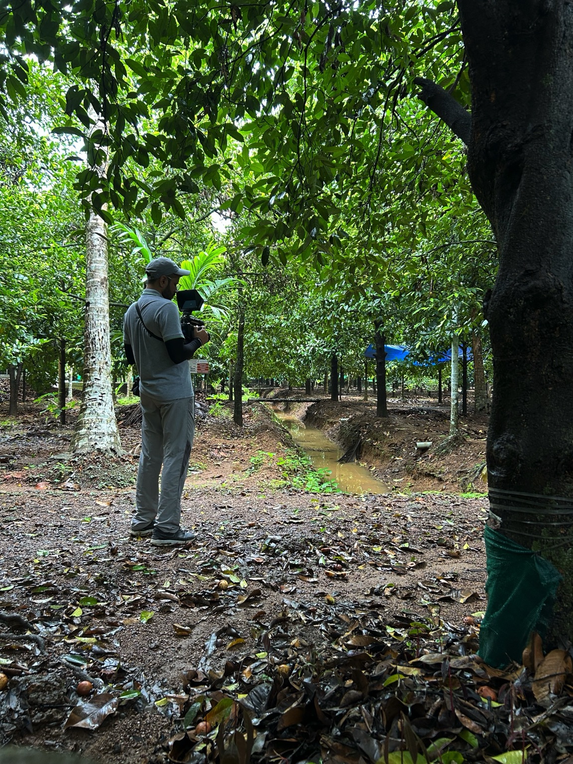 The Feni Story — Business Insider